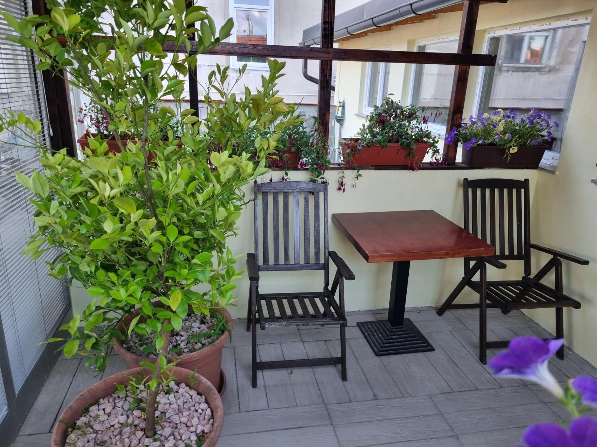 Apartments Fazarinc S Parkiriscem Celje Exterior photo