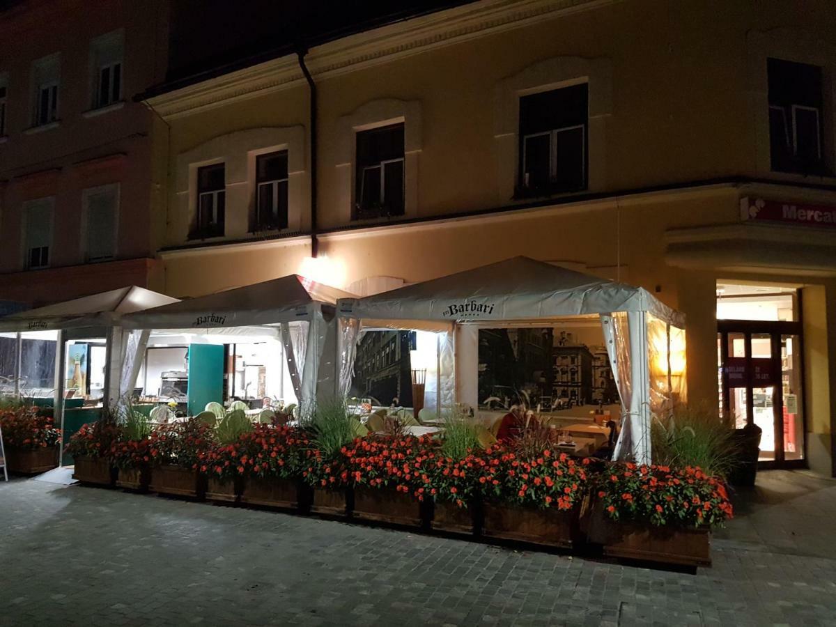 Apartments Fazarinc S Parkiriscem Celje Exterior photo